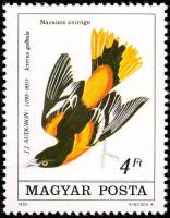 (1985-032) Марка Венгрия "Балтиморская иволга"    Птицы II Θ