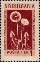 (1954-007) Марка Болгария "Одуванчик (28.04)"   Лекарственные растения Болгарии (3) III O
