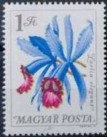 (1965-080) Марка Венгрия "Орхидея пурпурная"    Цветы ботанического сада II Θ