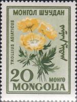(1960-008) Марка Монголия "Купальница азиатская "    Цветы II Θ