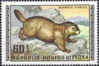 (1970-006) Марка Монголия "Сурок Тарбаган"   Дикие животные Монголии III O