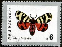 (1962-065) Марка Болгария "Медведица геба" Перф лин 11   Бабочки II Θ