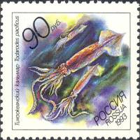 1993-043 Марка Россия Тихоокеанский кальмар  Жители морей Тихоокеанского региона III O