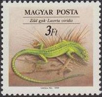 (1989-036) Марка Венгрия "Зелёная ящерица"    Охрана природы. Рептилии II &Theta;