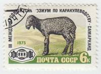 1975-082 Марка СССР Ягненок каракульской породы  Симпозиум по каракулеводству II Θ
