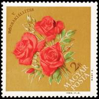(1963-025) Марка Венгрия "Розы"    5-я Венгерская выставка роз в Будапеште III Θ