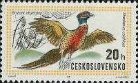 (1971-034) Марка Чехословакия "Фазан обыкновенный"    Всемирная выставка охоты в Будапеште II Θ