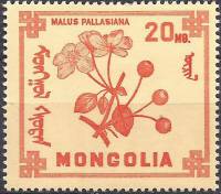 (1968-012) Марка Монголия "Яблоня ягодная"    Ягоды III O