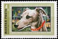 (1972-018) Марка Венгрия "Уиппет" ,  III O