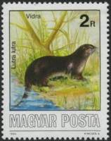(1986-059) Марка Венгрия "Выдра"    Охраняемые животные II Θ