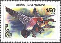 (1994-031) Марка Россия "Свиязь"   Утки III O