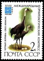 1982-043 Марка СССР Чёрный журавль  XVIII Международный орнитологический конгресс III O