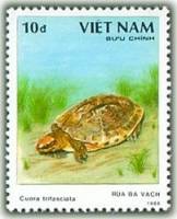(1989-049) Марка Вьетнам "Трехполосная коробчатая черепаха"    Черепахи III Θ