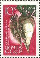 1964-092 Марка СССР Сахарная свёкла Перф. рам. 11½   Сельскохозяйственные культуры III O