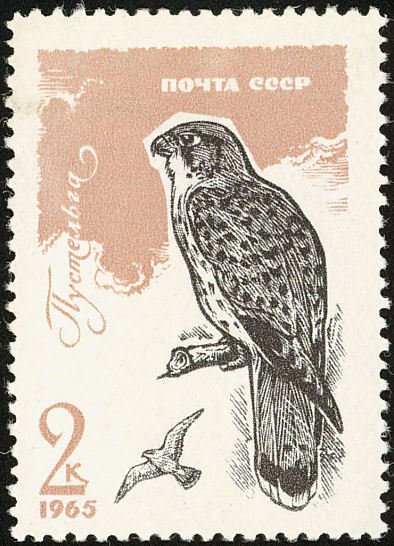 1965-139 Марка СССР Орёл-бородач   Хищные птицы II O