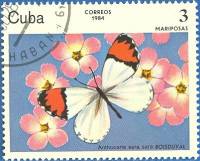 (1984-008) Марка Куба "Сара оранжевая"    Бабочки III Θ