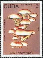 (1989-007) Марка Куба "Вешенки флоридские"    Съедобные грибы III O