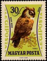 (1962-070) Марка Венгрия "Филин"    Хищные птицы III Θ