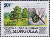 (1982-038) Марка Монголия "Сибирская кедровая сосна"    Флора Монголии III Θ