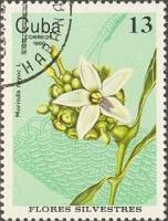 (1980-075) Марка Куба "Моринда "    Полевые цветы III O