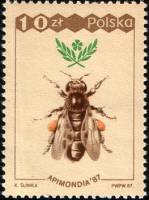 (1987-033) Марка Польша "Медоносная пчела, Рабочая "    31-й Всемирный конгресс пчеловодства, Варшав
