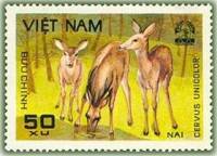 (1981-016a) Марка Вьетнам "Индийский замбар"  Без перфорации  Животные парка Кук Пхонг III Θ