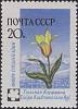 1960-104 Марка СССР Тюльпан Кауфмана   Флора II O