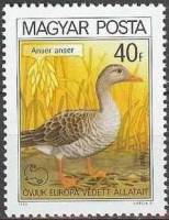 (1980-051) Марка Венгрия "Серый гусь"    Европейская природоохранная кампания "Защита жизни и природ