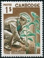 (№1966-203) Марка Камбоджа 1966 год "День дерева", Гашеная