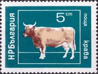 (1974-017) Марка Болгария "Корова"    Домашние животные III O