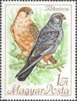 (1968-023) Марка Венгрия "Кобчик"    Конгресс Международного орнитологического совета по охране птиц