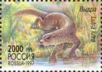 1997-047 Марка Россия Выдра  Фауна России III O