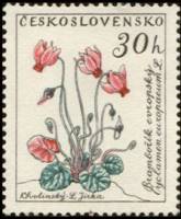 (1960-060) Марка Чехословакия "Цикламен"   Цветы II O