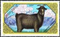 (1988-062) Марка Монголия "Черная коза"    Домашние животные: коза III Θ