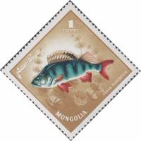 (1965-030) Марка Монголия "Окунь"    Речные хищные рыбы III O