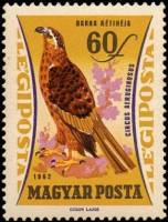 (1962-072) Марка Венгрия "Болотный лунь"    Хищные птицы III Θ