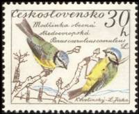 (1959-049) Марка Чехословакия "Синица"    Птицы II Θ