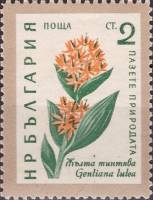 (1960-026) Марка Болгария "Горечавка жёлтая"   Охрана природы. Цветы II Θ