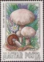 (1984-053) Марка Венгрия "Шампиньон обыкновенный"    Съедобные грибы II Θ