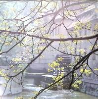 Пластинка виниловая Prague silver strings Dancing and Dreaming Supraphon 300 мм. Near mint