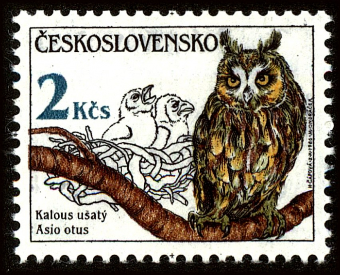 (1986-031) Марка Чехословакия &quot;Ушастая сова&quot;    Охрана природы. Совы III Θ