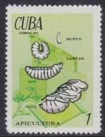 (1971-043) Марка Куба "Личинка"    Пчеловодство II Θ