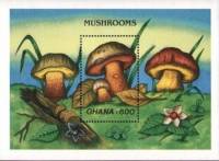 (№1989-145) Блок марок Гана 1989 год "Три Вида Маслята", Гашеный