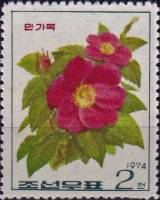 (1974-044) Марка Северная Корея "Шиповник иглистый"   Розы III Θ