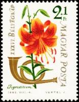 (1963-075) Марка Венгрия "Лилия ланцетолистная" ,  III O
