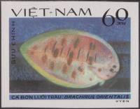 (1982-082a) Марка Вьетнам "Брахирус"  Без перфорации  Камбала III Θ