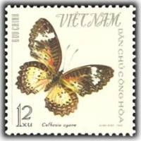 (1965-062) Марка Вьетнам "Леопардовый златоглазок"   Бабочки III Θ