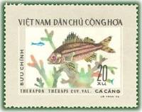 (1976-036) Марка Вьетнам "Крупномасштабный терапон"   Тропические рыбы III Θ