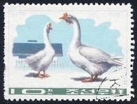 (1976-005) Марка Северная Корея "Домашний гусь"   Птицеводство III O