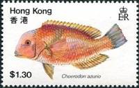 (№1981-370) Марка Гонконг 1981 год "Azurio Tuskfish Choerodon azurio", Гашеная